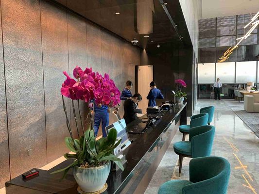 아파트 ODM을 위한 방 세트를 하는 세트 ASCOTT 실 목 가구
